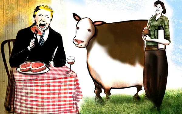 valor bife
