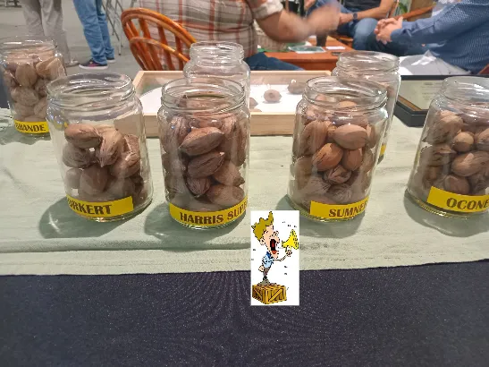 pelliquero vivero santa maria (10)