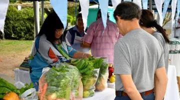 Feria Emprendedores (1)