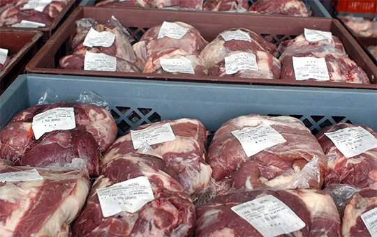 Carne - exportación