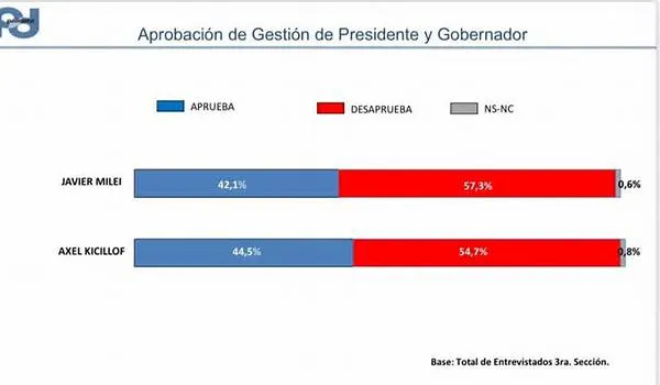 imagen milei kicillof