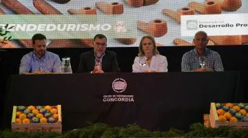 mesa trab citricuk 1