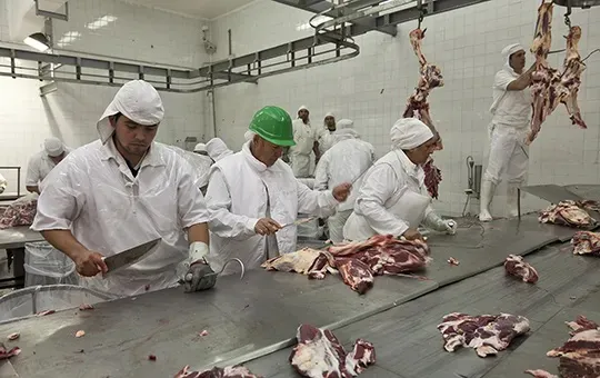 faena-y-despostada FRIGORIFICO