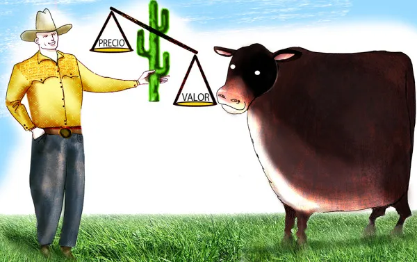 carne vaca