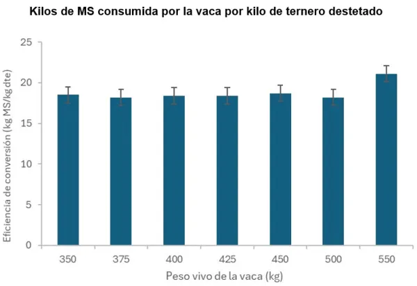 508-Tamano-vaca-B-600x412