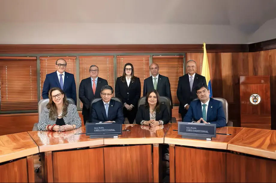 corte constitucional