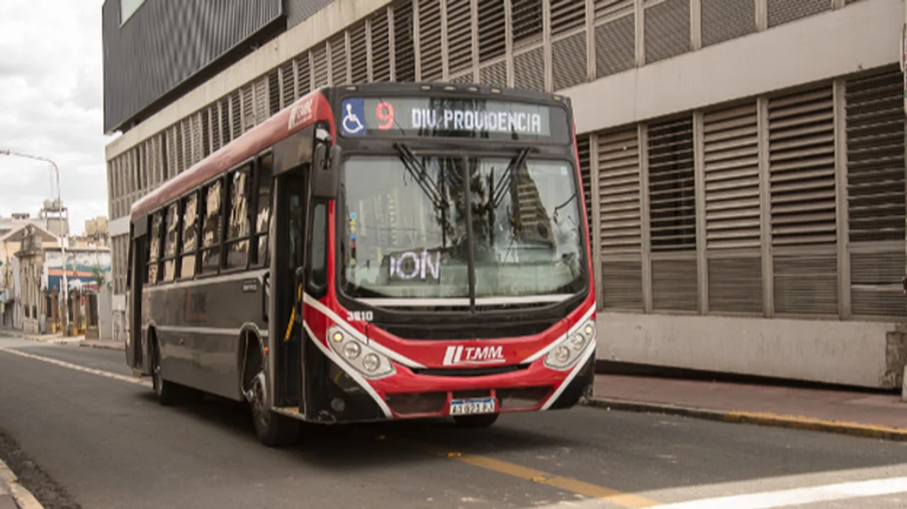 colectivo
