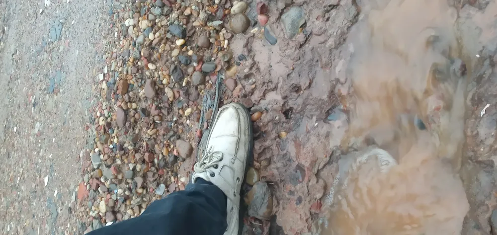 20240506_094516_mfnr