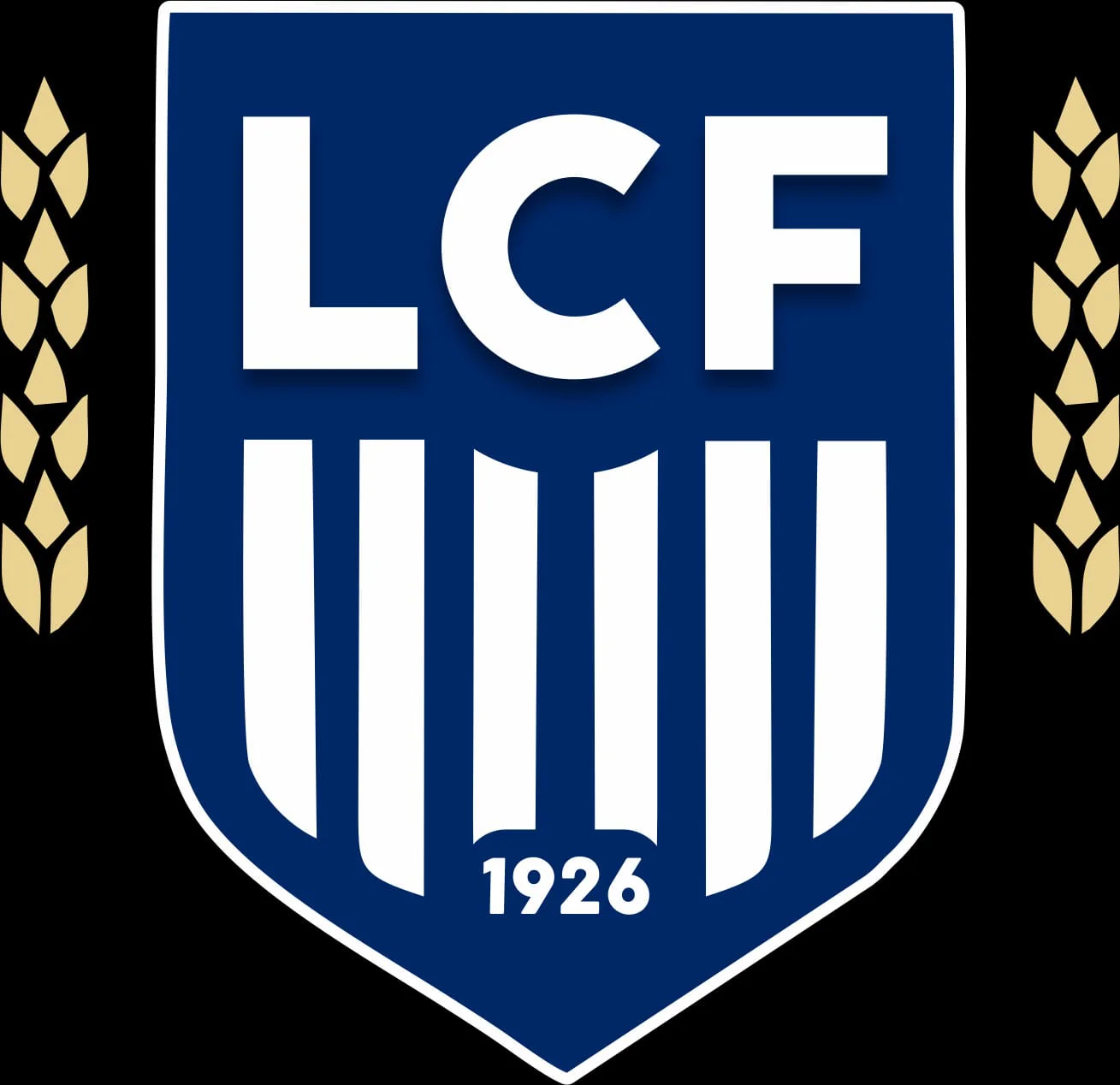 liga c futbol