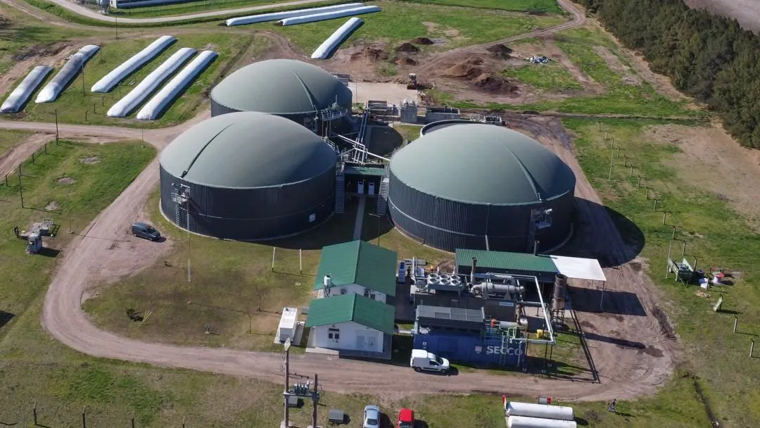 establecimiento pacuca