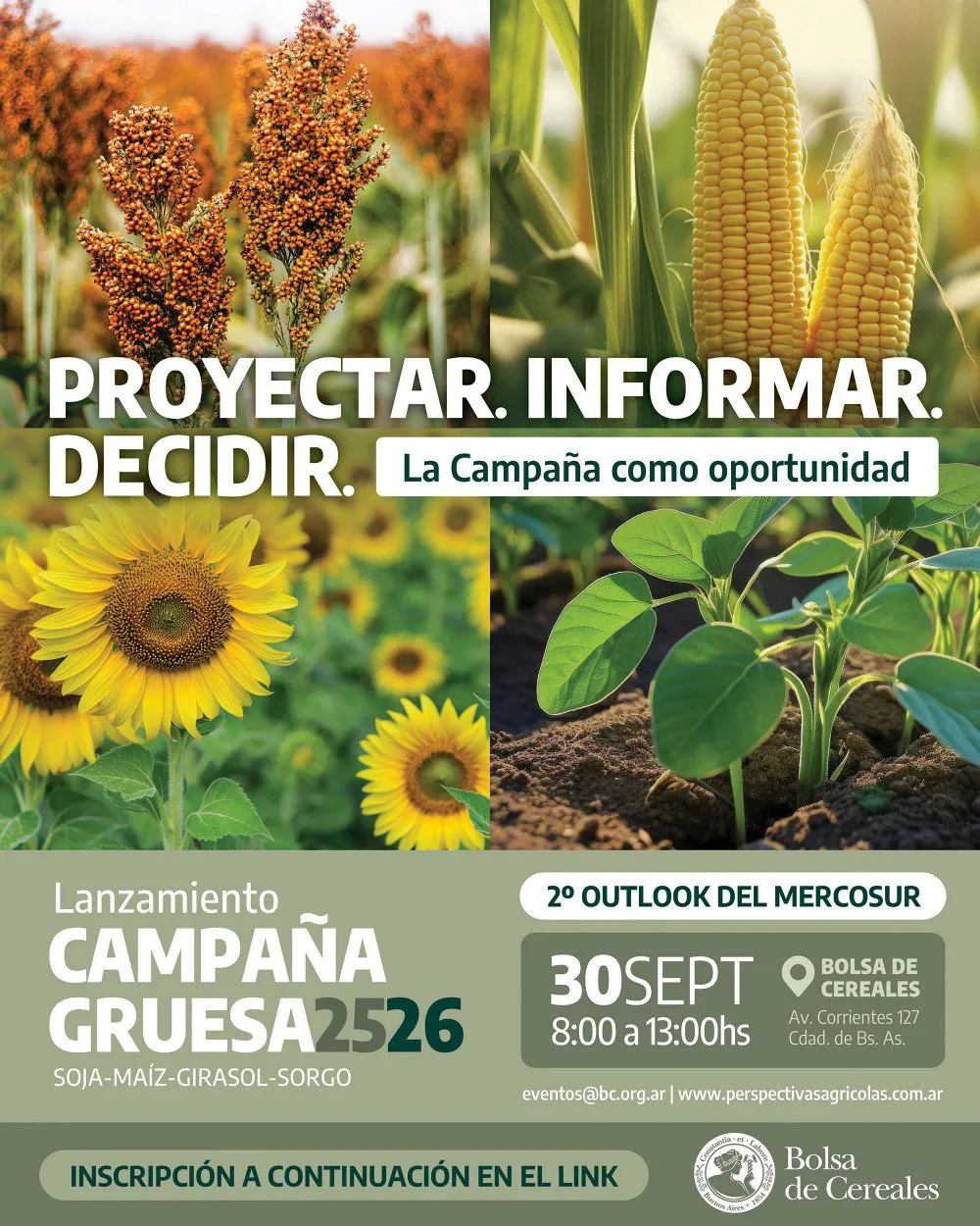 campaña gruesa