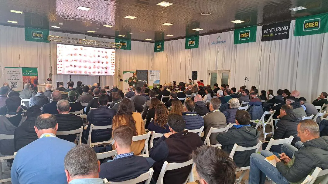 Jornada Crea