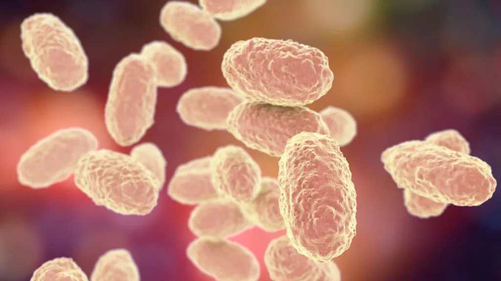 tos-ferina-y-el-sarampion-2