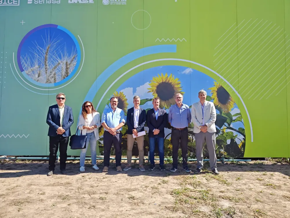 Ptes Bolsas de Comercio Cereales Arg