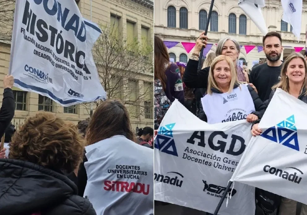 docentes universitarios