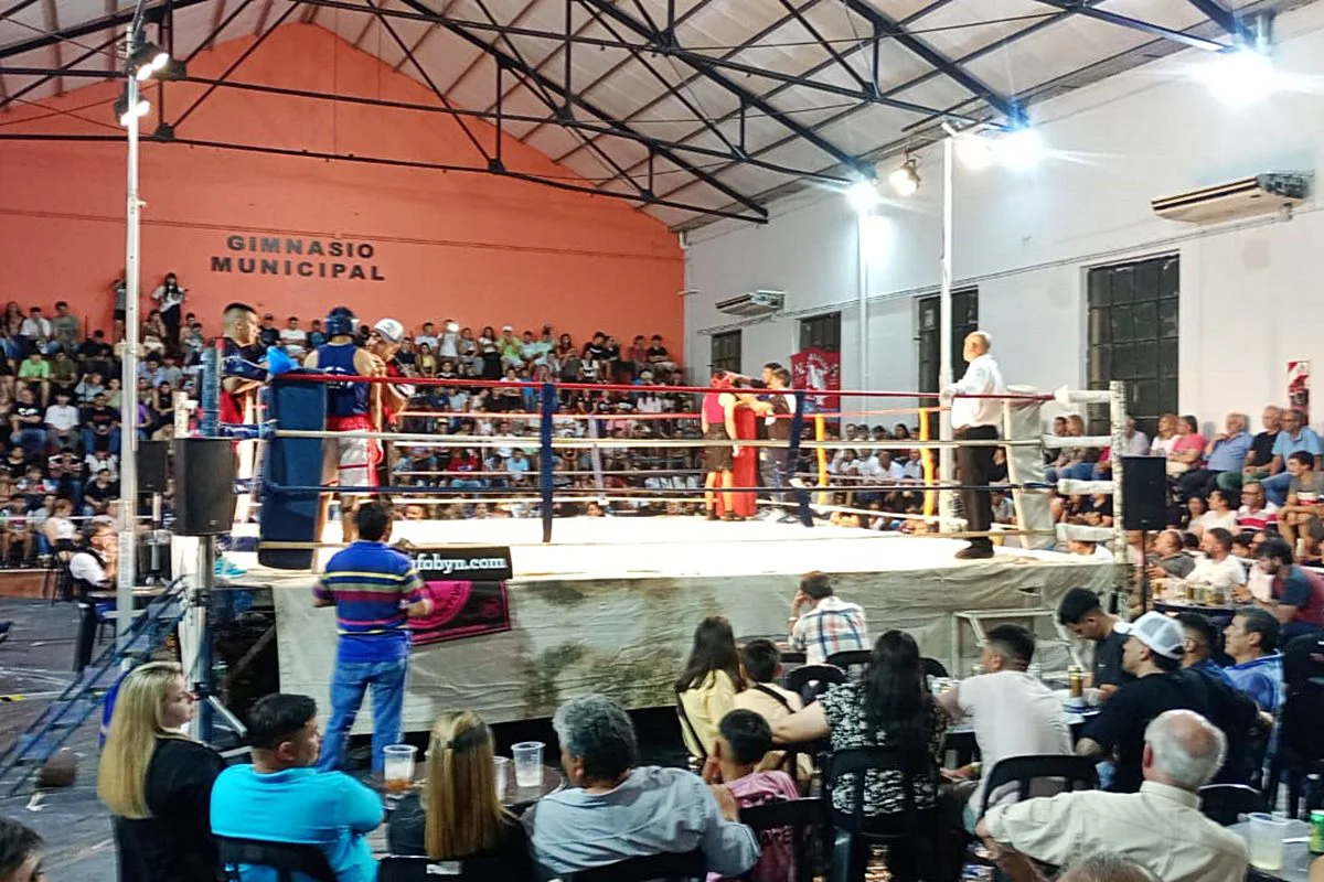 box en el pingo blanco