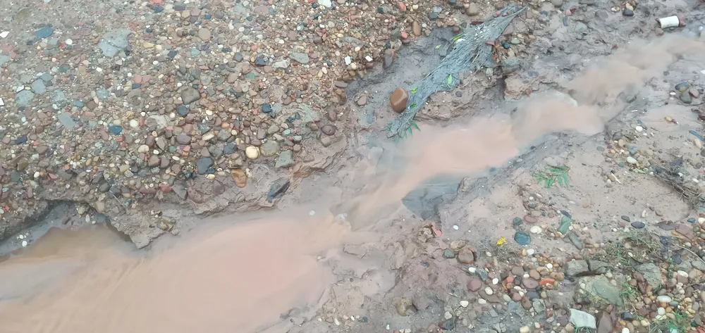 20240506_094451_mfnr