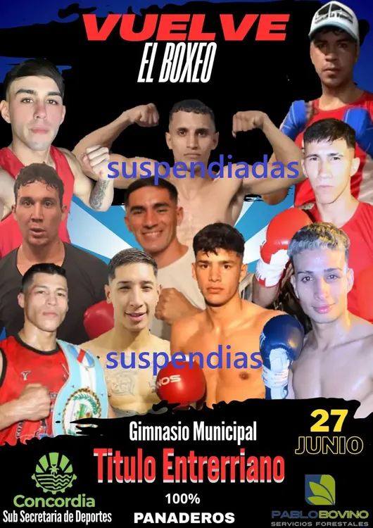 boxeo suspendido