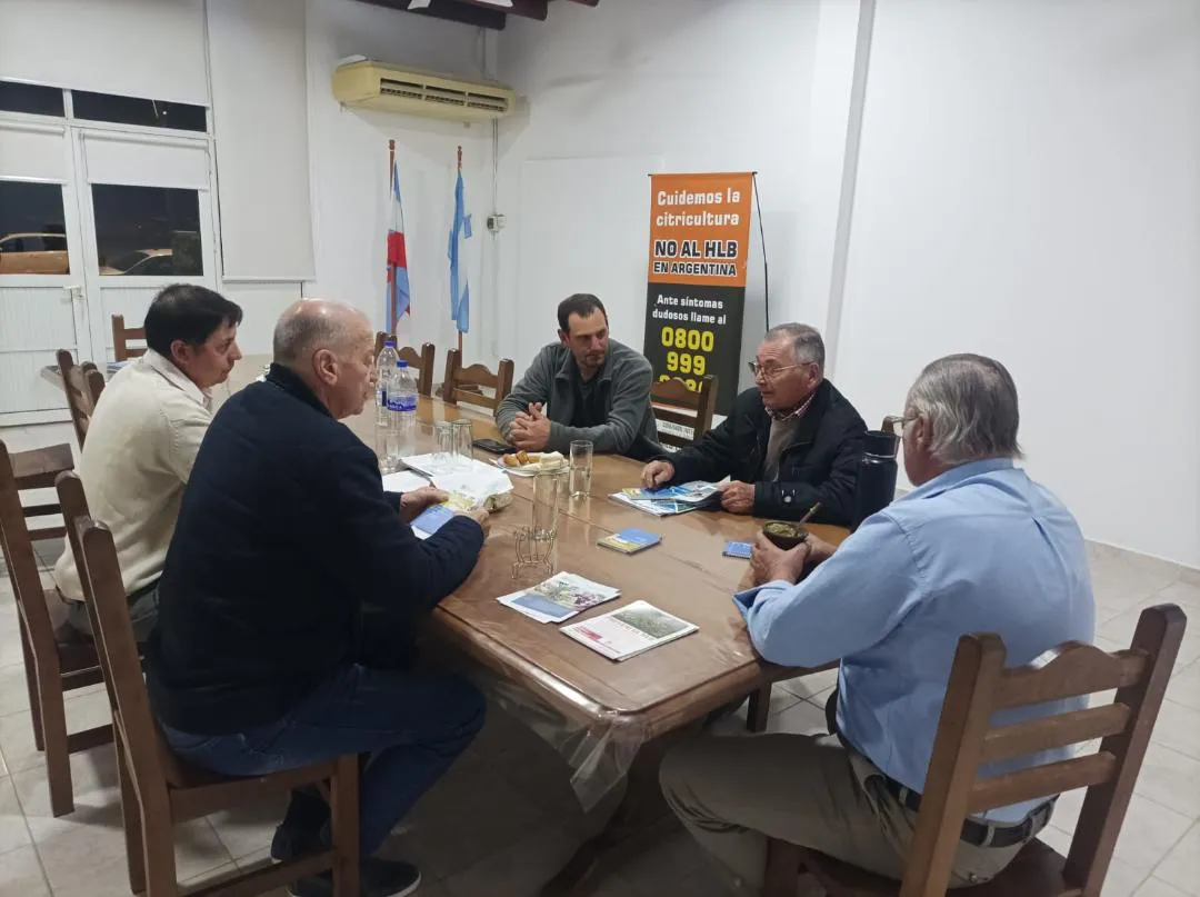 cafegs citricultores