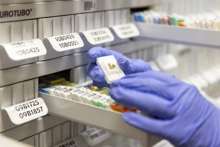 medicamentos