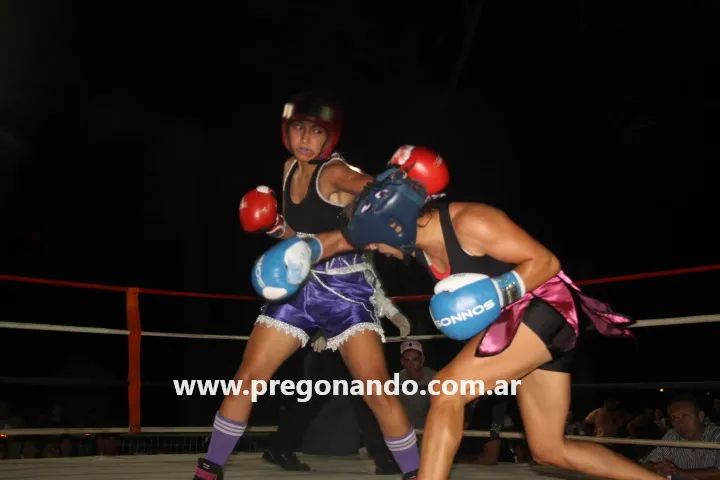box en el oppel ) (17)