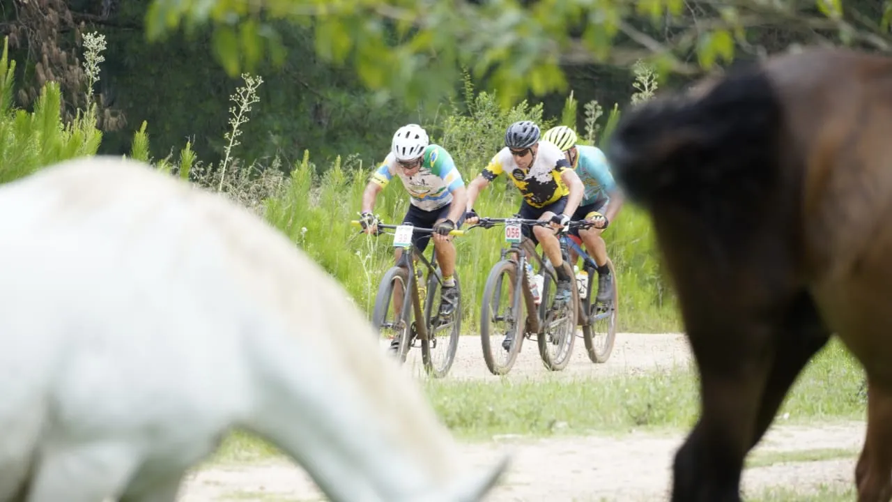 mtb