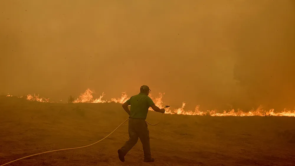 incendios forestales