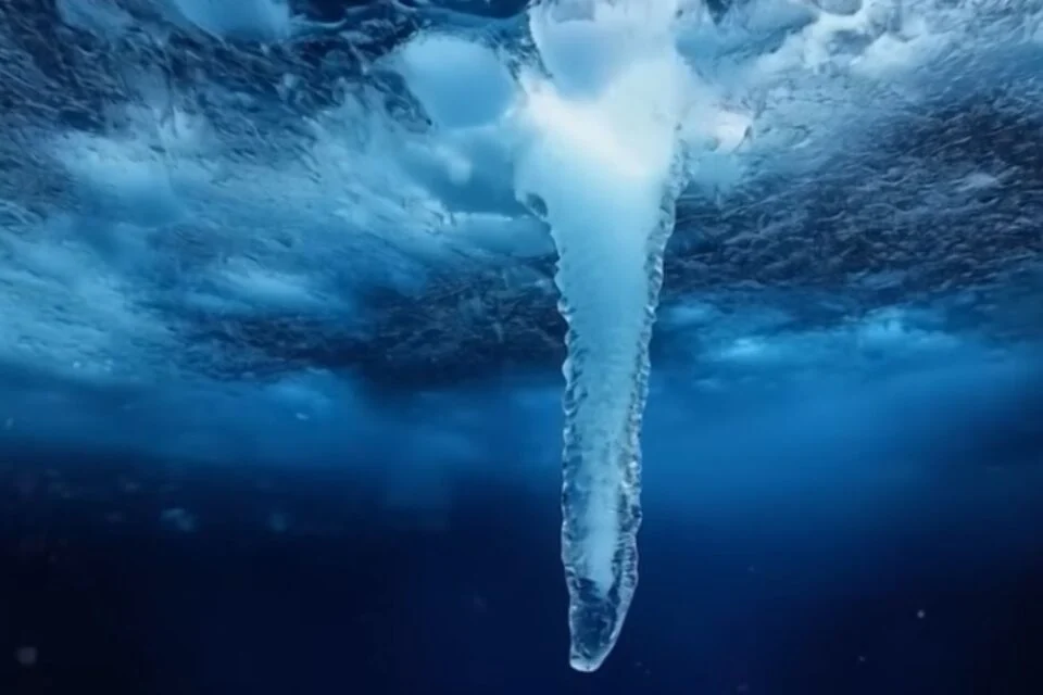 perforaciones cientificas