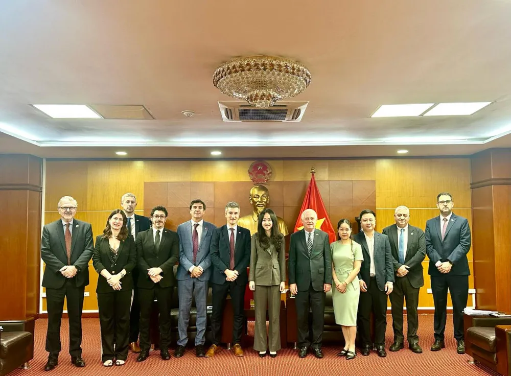 bolsa cereales vietnan