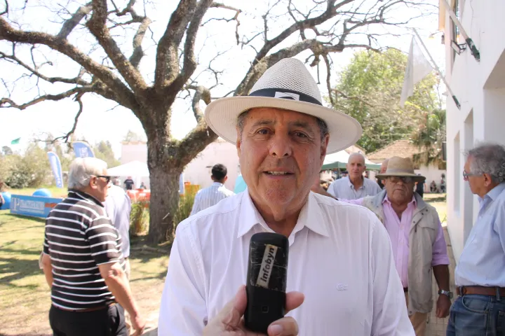 alfredo de angeli