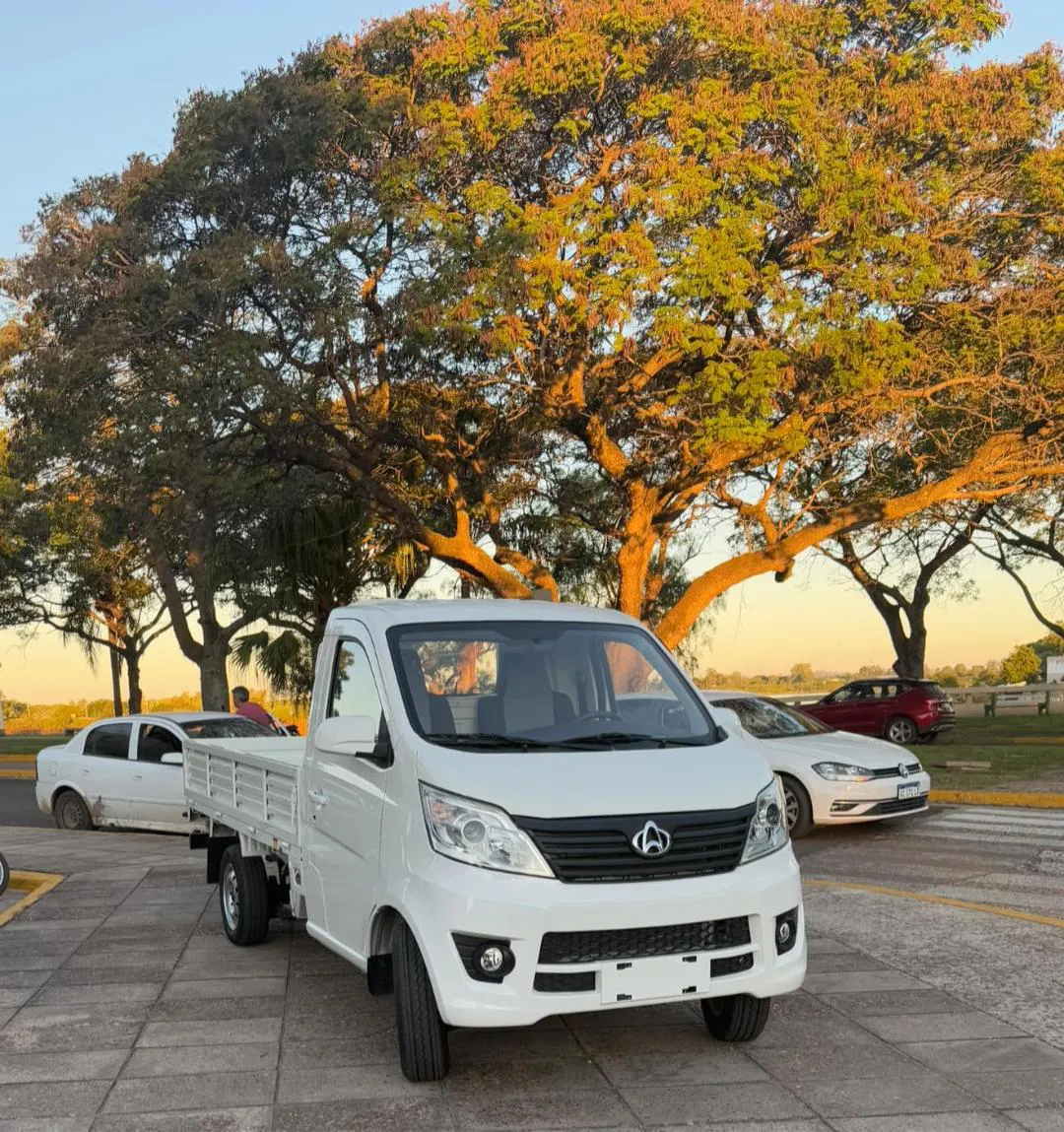 movil federacion