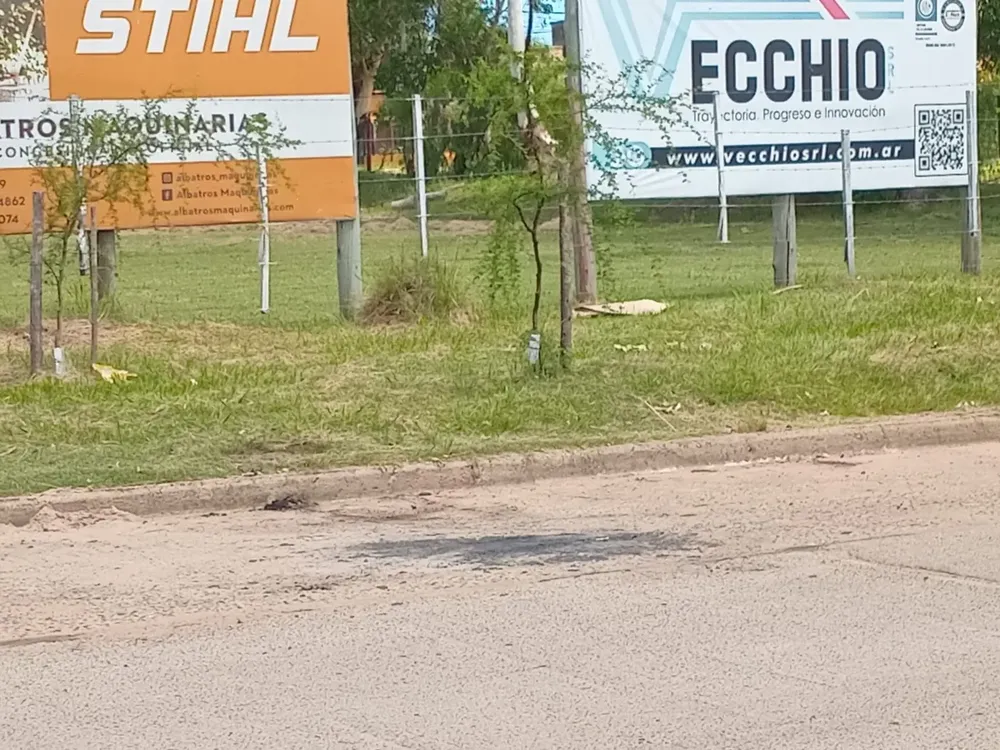 cresto y saure 21/01/2026