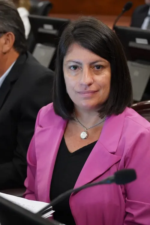 diputada carola laner