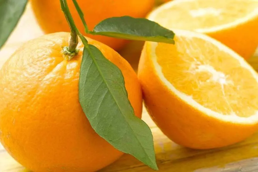 mandarina