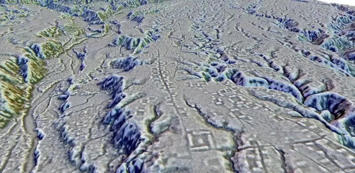civi perdi amazonas
