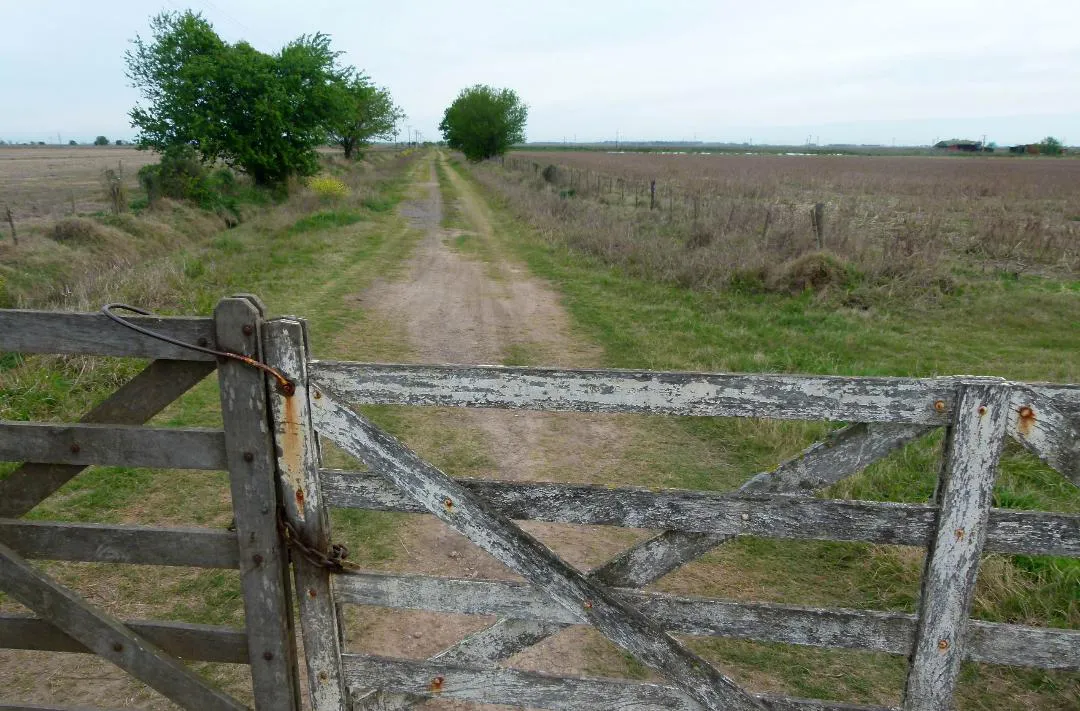 campo