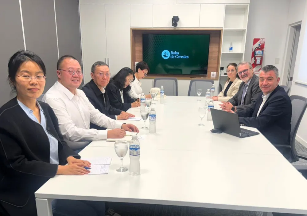 bolsa de cereales er