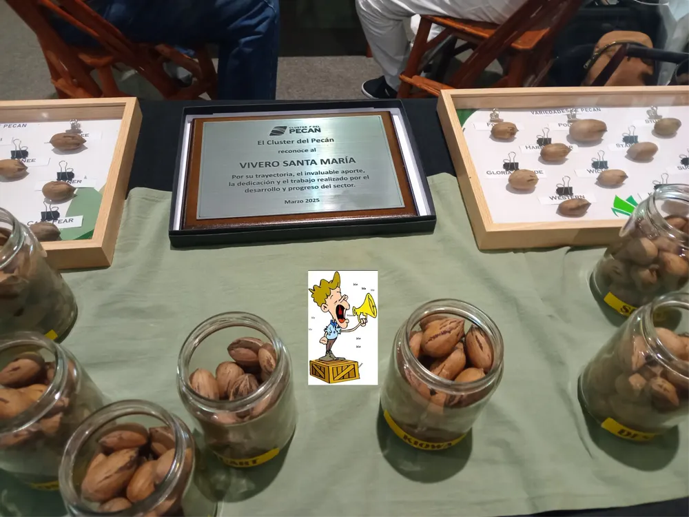 pelliquero vivero santa maria (11)