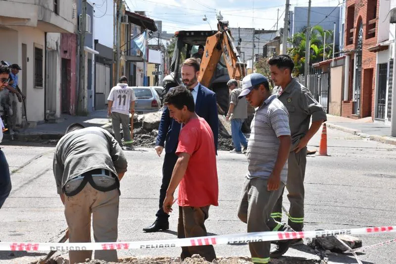 bacheo