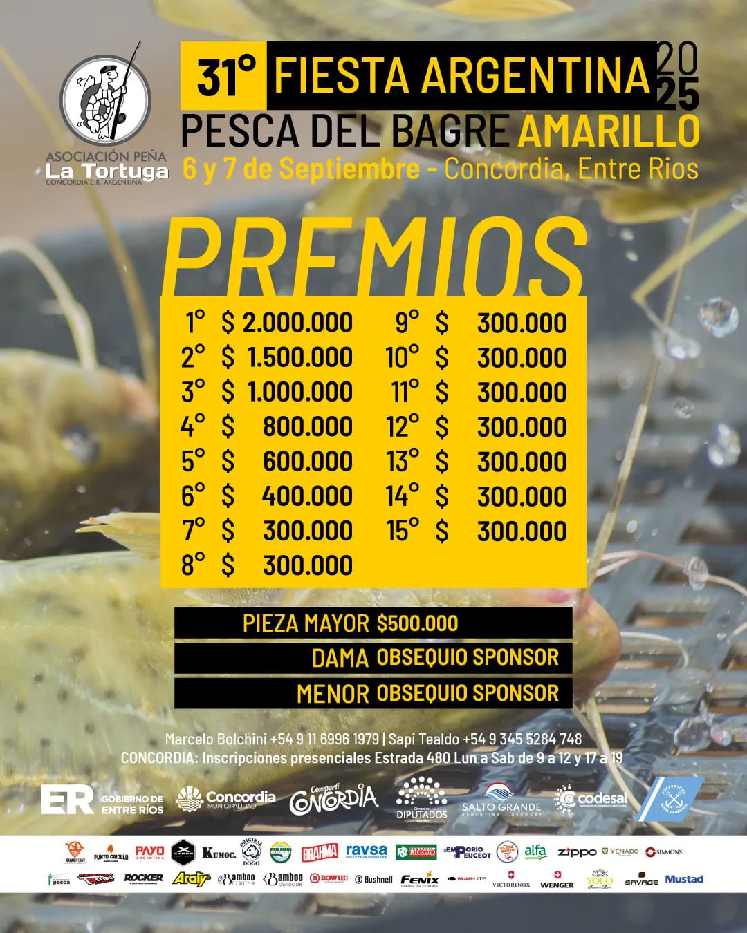 pesca amarollo